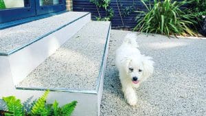Is-Resin-Bound-Safe-For-Children-&-Pets
