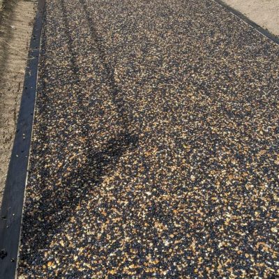 Close Up Soft Gravel Path